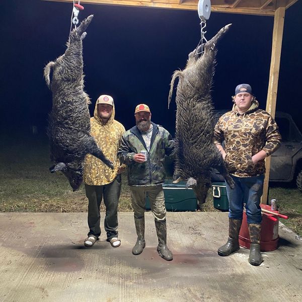 Twisted Mallard Hunting Club